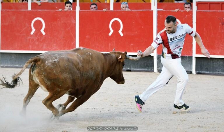 Imparables, Mario y Kimera se llevan el concurso de Recortadores de Borja con vacas de Hermanos Marcén 