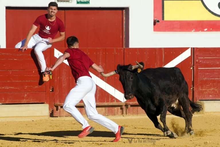 Triunfo de Javier Soler y Xabier Iturralde en el Concurso Nacional de Recortadores de Ejea con las bravas vacas de Don Jesús Marcén