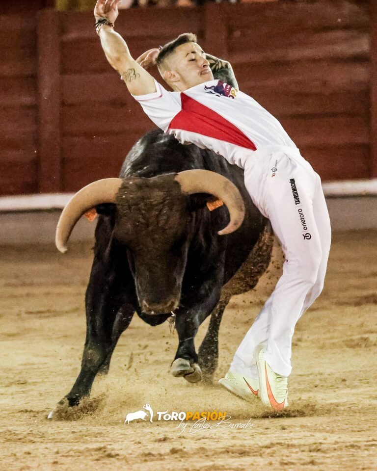Lleno en el Coso de Las Cruces: Juancar se impone en la clasificatoria de Guadalajara del Campeonato de España de Recortadores