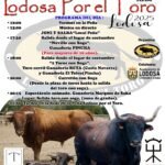 Lodosa