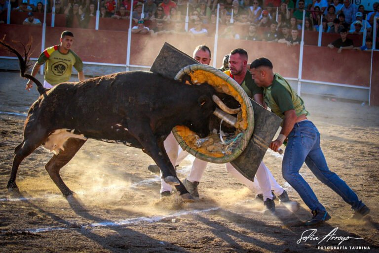 Camino a Zaragoza: Los Furtivos, terceros clasificados. Así ha sido la temporada de la veterana cuadrilla de Fuentes de Ebro