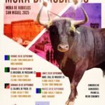 Mora de Rubielos