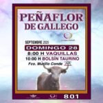 Peñaflor de Gallego