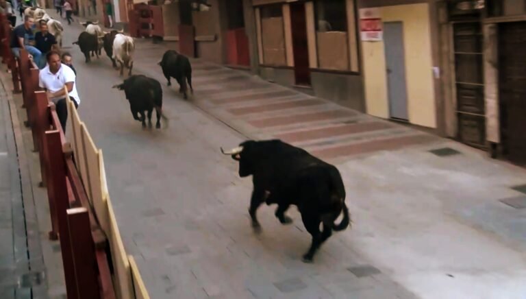 Guadalajara 2025: un primer encierro histórico, bonito y con cinco toros de El Capea por la Calle Mayor