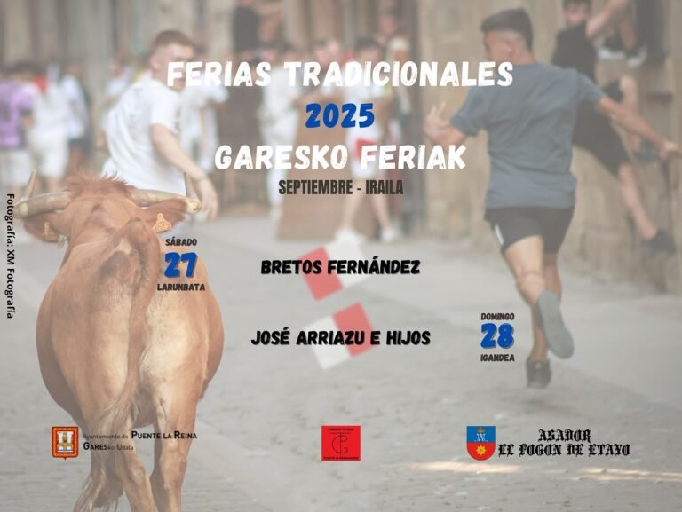 Puente La Reina Gares