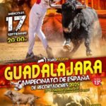 Guadalajara