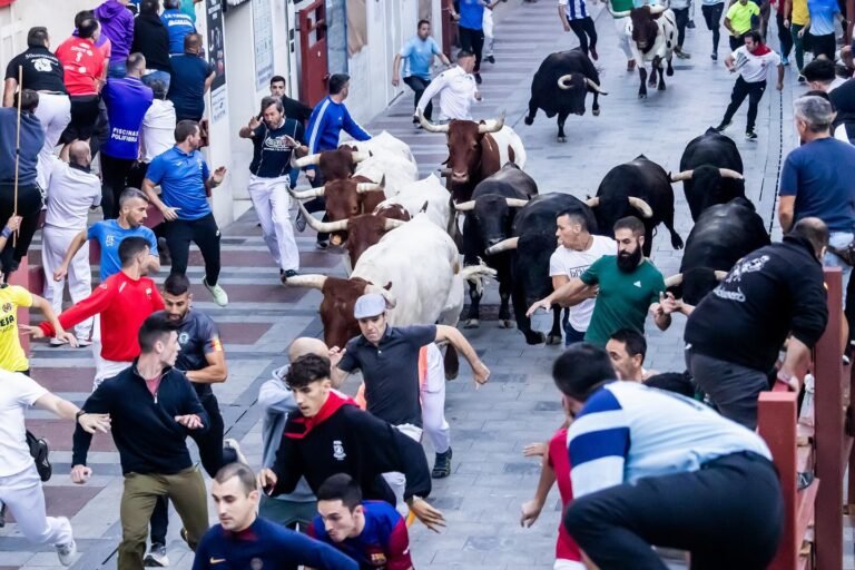 Tercer encierro de Guadalajara 2025: Clase y elegancia en las carreras con toros de Alcurrucén 