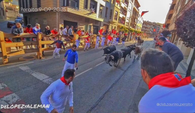 Trapío y buenas carreras con Los Bayones en el tercer encierro de Peralta 2025