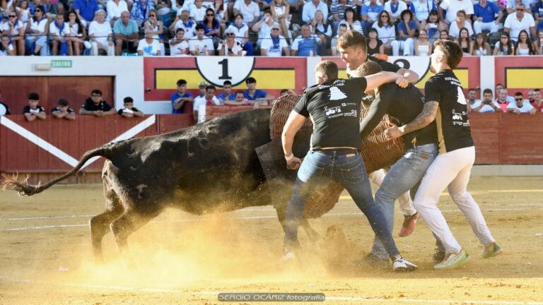 Camino a Zaragoza: Utebo-Monzalbarba clasifica como segunda. Así ha sido el trayecto de los vigentes Campeones de España de Roscaderos