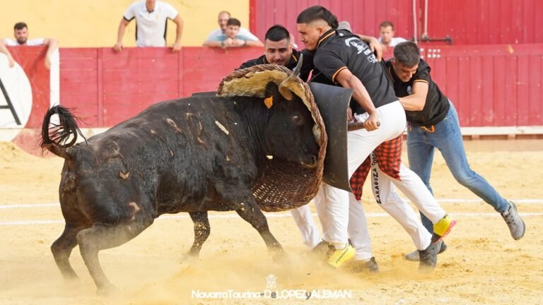 Camino a Zaragoza: Utebo clasifica en cuarto lugar sin ser eliminados en toda la temporada 2025
