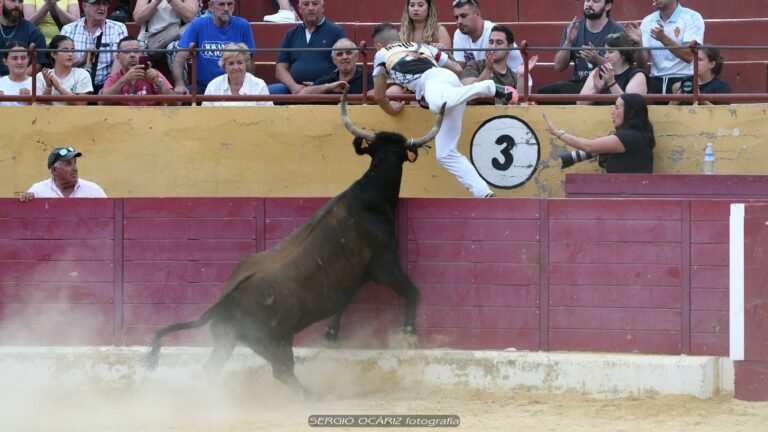 Kimera y Mario ganaron el Concurso Nacional de Recortadores de Alagón frente a la exigente 10 de Marcén