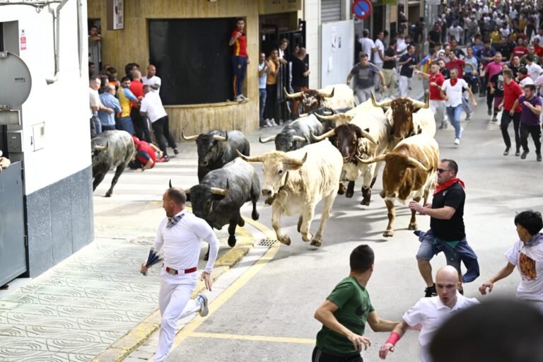 Emocionante y masificado tercer encierro de Adolfo Martín para despedir la Fira d’Onda 2025