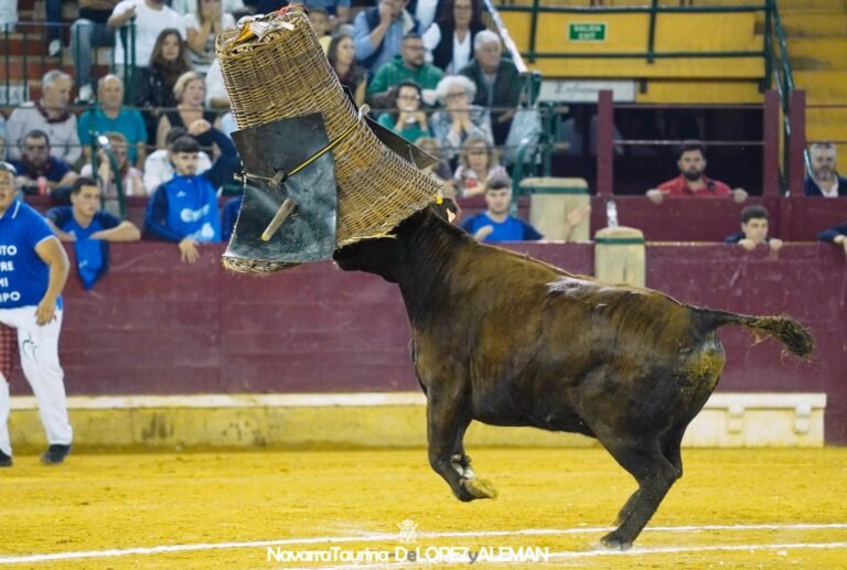 Los Furtivos y Luna se convierten en nuevos Campeones de España de Roscaderos en el Coso de La Misericordia de Zaragoza 
