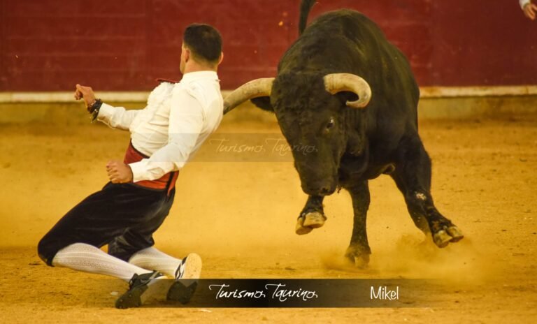 Jonatan Estébanez “Peta” gana en La Misericordia de Zaragoza el Concurso Goyesco de Recortadores 2025 