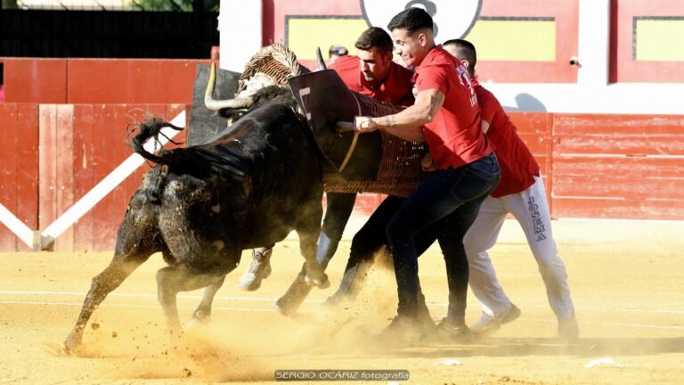Camino a Zaragoza: Luna y su hinchada también estarán en el Campeonato de España de Roscaderos. Así ha sido su temporada 2025