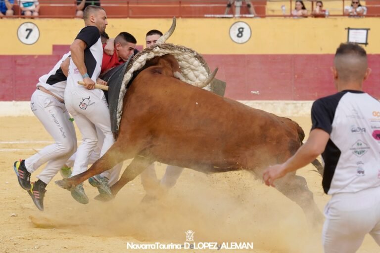 Camino a Zaragoza: Pina de Ebro, presente y futuro de la Ribera Baja. Así ha sido su temporada 2025