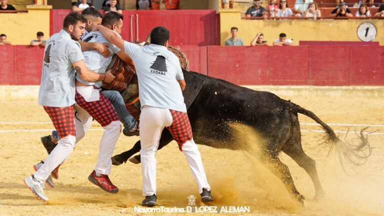Camino a Zaragoza: Sádaba, décima cuadrilla clasificada para el día 10. Así ha sido su temporada