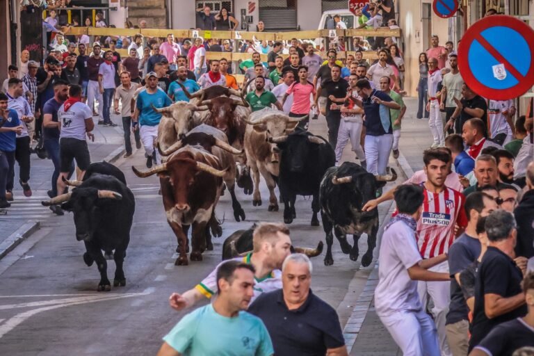 Velocidad, peligro y buen hacer en el segundo encierro de la Fira d’Onda 2025, con toros de Murteira Grave y Palha de la Peña Guarismo 2