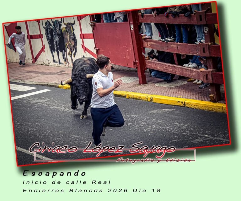 Los toros de El Cotillo dejan un herido por asta en el segundo Encierro Blanco en San Sebastián de los Reyes 2026