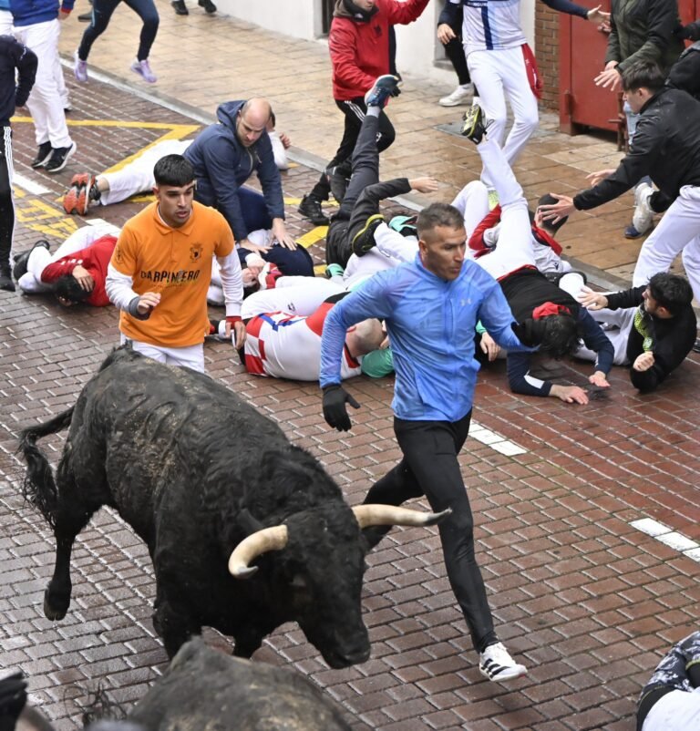 El primer Encierro Blanco 2026 en Sanse con Toros de Zalduendo hace honor a su nombre: nieve y lluvia