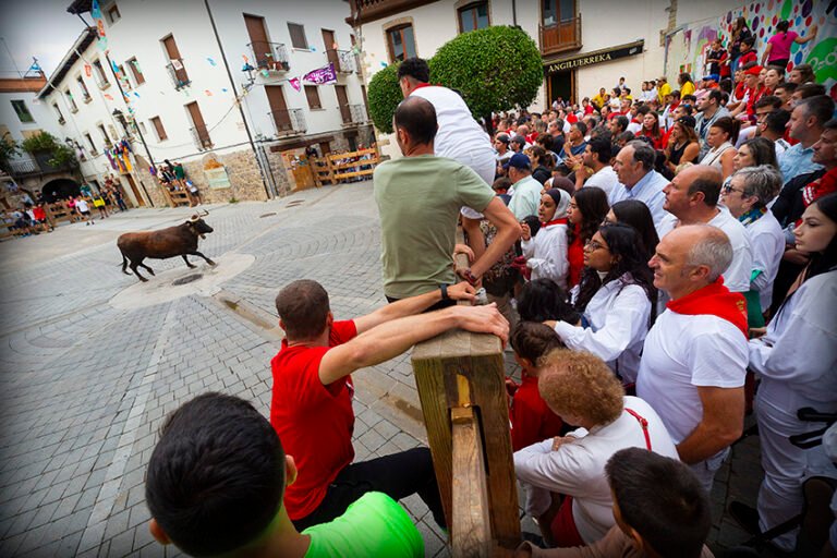 Los vecinos de Aoiz deciden recuperar las vacas en sus fiestas