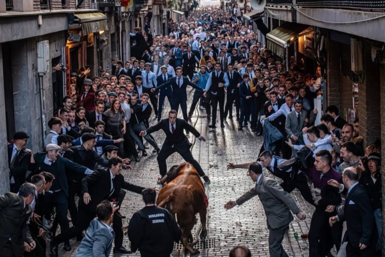 Tolosa y Azpeitia podrán celebrar festejos taurinos por carnaval