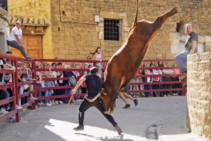 Periodo de seguimiento que establece el Reglamento Delegado (UE) 2020/687