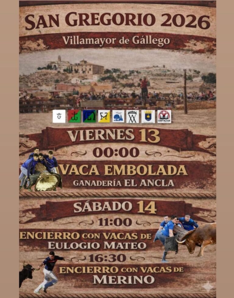Villamayor de Gallego