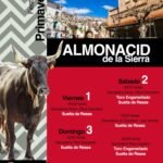 Almonacid de la Sierra