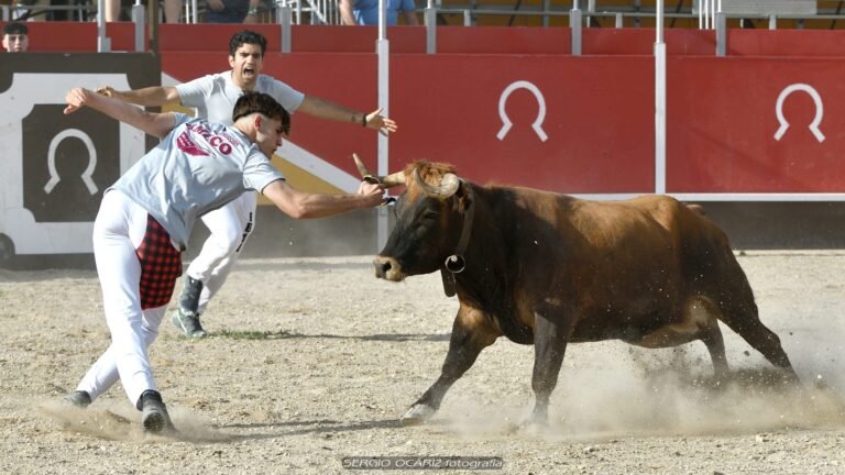Bruno Callén e Iván Gómez ganan el Concurso de Recortadores “Jóvenes Promesas”, en la modalidad de anillas, en Tauste