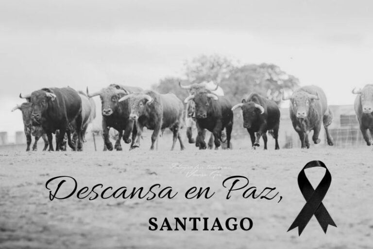 Muere el ganadero Santiago Barrero San Román tras ser corneado por un toro en Beas de Segura