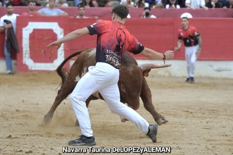 Luis Catalán se alza con el primer Campeonato Navarro de Recortes en una tarde de máxima tensión con Arriazu