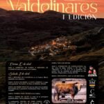 Valdelinares
