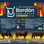 Bordón