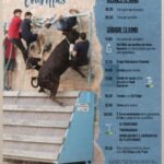 Cedrillas