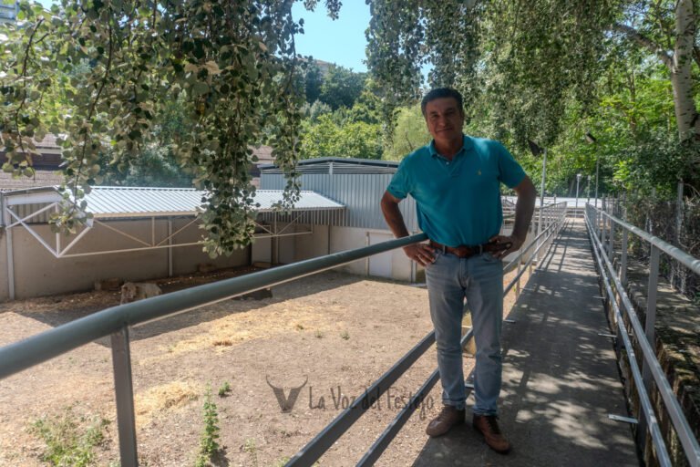 5 del 5. Quinto peldaño de la escalera sanferminera 2026: Homenaje a los Mayorales.