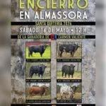 Almassora