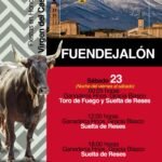 Fuendejalón