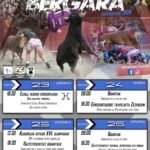 Bergara