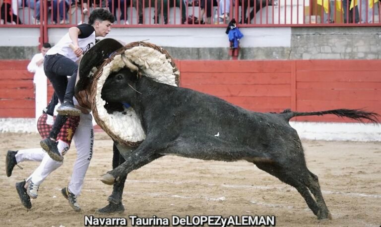 El VAR determina un triunfo compartido entre Utebo y Luna en el lluvioso Concurso de Roscaderos de Pina de Ebro; Fuente de Bañera, Mejor Actuación