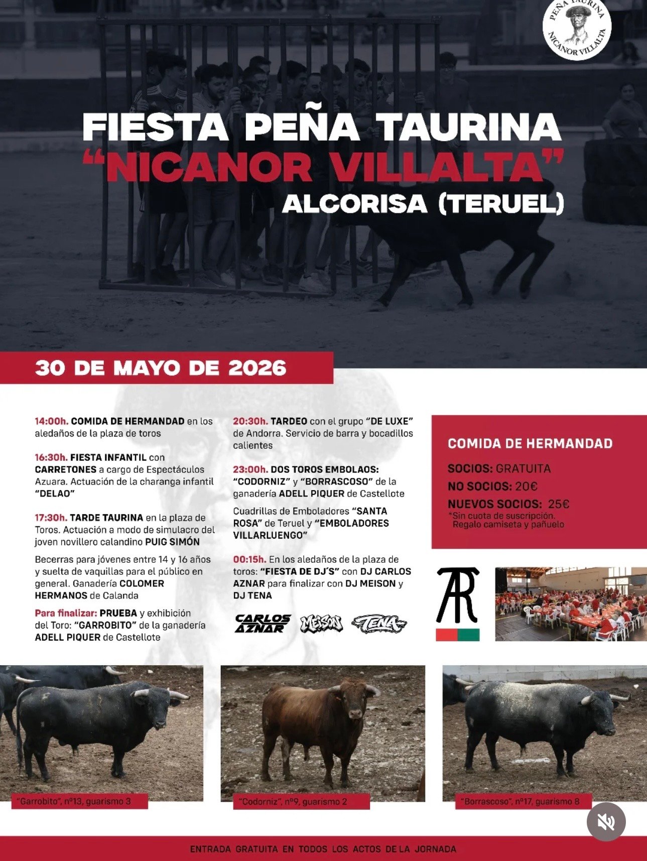 Alcorisa