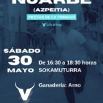 Nuarbe