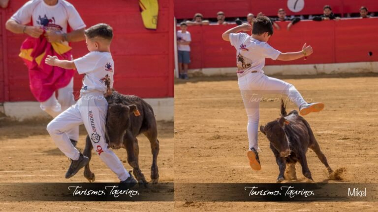 Pura magia y afición en Alfaro con Pipo JR, Carlos Villar, la élite del recorte y homenaje a Toropasión