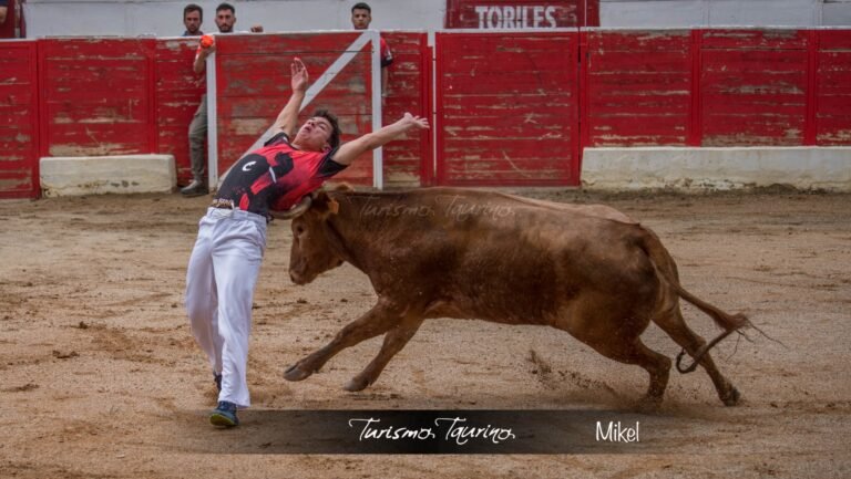 Unai Alonso gana en Cascante la accidentada segunda edición del Campeonato Navarro de Recortes con Arriazu