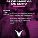Aldeanueva de Ebro
