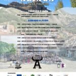 Aliaga