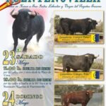 Fuentenovilla