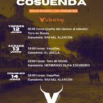 Cosuenda