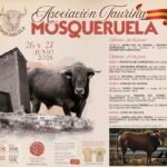 Mosqueruela