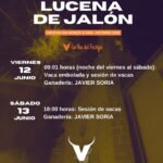 Lucena de Jalón